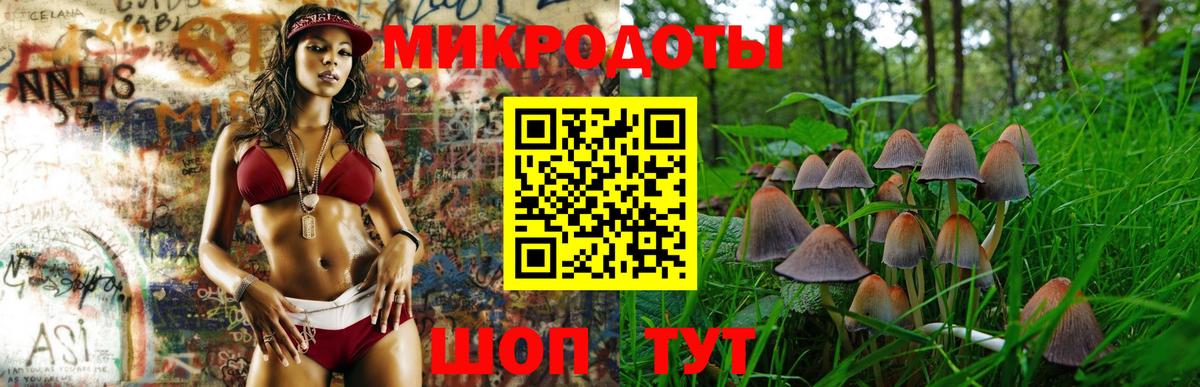 Псилоцибиновые грибы мицелий  Вход с VPN  Тимашёвск 